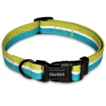 Dogs' Glucklich Daily Reflective Collar (Mint Green)
