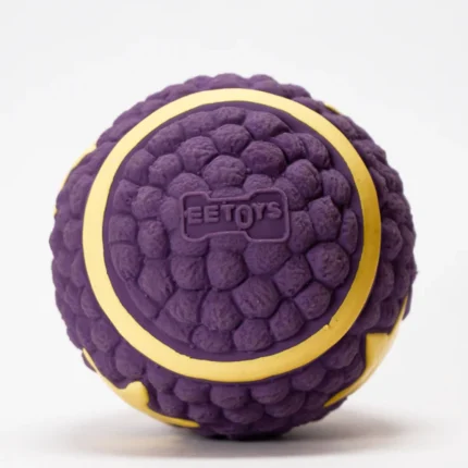 For dogs and cats, Skatrs' interactive latex star squeaky ball toy (purple) allows them to chew, float, train, and bounce.