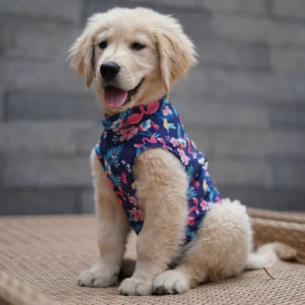 Pawgypets Navy Blue Hawaiian Flamingo Sando for Dogs