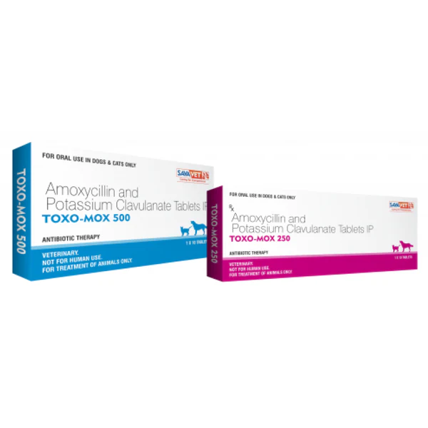 Ten pills of Savavet Toxo Mox (Amoxycillin) for dogs and cats are included in the package. Savavet Toxo Mox (Amoxycillin) for dogs and cats are included in the package of 10 Pills - Image 1