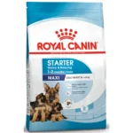 Maxi Starter Dog Dry Food by Royal Canin