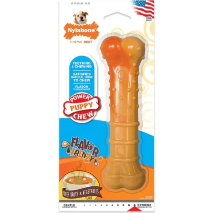 Dogs' Nylabone Puppy Power Chew Toy (Orange)