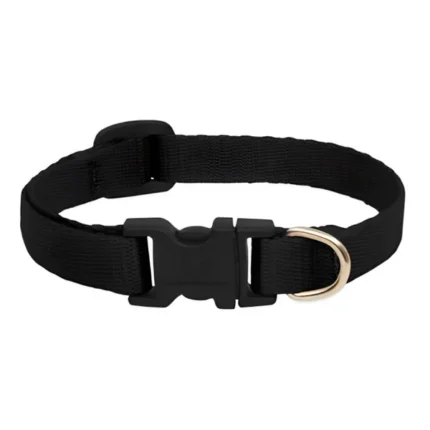 Skatrs Black Adjustable Collar for Cats and Kittens with Bell