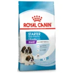 Starter Dog Dry Food for Royal Canin Giant Breed Dogs and Puppies