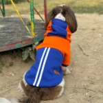 Orange/Blue Pawgypets Stripe Hoodie Sweatshirt for Dogs and Cats