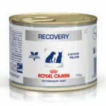 Vet-approved Royal Canin Recovery Canned Adult Pet Wet Food