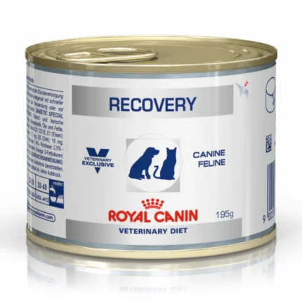 Vet-approved Royal Canin Recovery Canned Adult Pet Wet Food