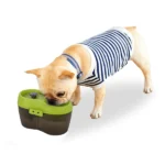Water Fountain with Automatic Dog Water Dispenser by Goofy Tails (2L)
