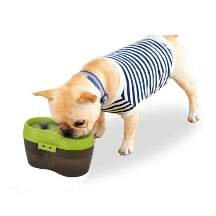 Water Fountain with Automatic Dog Water Dispenser by Goofy Tails (2L)