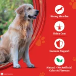 Adult Dog Dry Food Purina SuperCoat Chicken Smartblend - Image 3