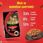 Adult Dog Dry Food Purina SuperCoat Chicken Smartblend - Image 4