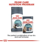 Adult Gravy Cat Wet Food with Royal Canin Gravy Hairball Care - Image 4