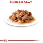 Adult Gravy Cat Wet Food with Royal Canin Gravy Hairball Care - Image 3