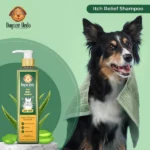 Aloe Vera Shampoo for Dogs by Dogsee Veda ITCH RELIEF(200ml) - Image 5