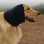 Skatrs Dog and Cat Ear Muffs with Sound Protection (Blue)
