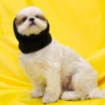 Skatrs Dog and Cat Ear Muffs with Sound Protection (Blue) - Image 2