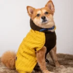 Cable Knit Sweater for Dogs and Cats by Petsnugs