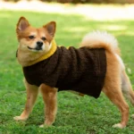 Cable Knit Sweater for Dogs and Cats by Petsnugs - Image 3
