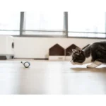 Cats' Interactive Cheerble Wicked Mouse Toy (Blue) - Image 3