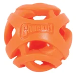 Chuckit! Medium Chewer Dogs' Breath Right Fetch Toy - Image 3