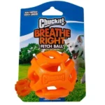 Chuckit! Medium Chewer Dogs' Breath Right Fetch Toy
