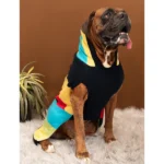 Color-blocked Knit Sweater for Dogs and Cats by Petsnugs - Image 3
