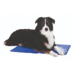 Dog Cooling Mats by Trixie (Blue) - Image 2