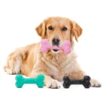 Dog Treat Dispensing Toy Barkbutler Chu the Bone (Green) - Image 2