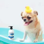 Dog Whitening Shampoo by Wahl - Image 3