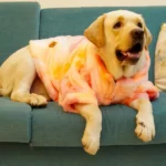Pawgypets Fur Sweater for Dogs and Cats (Orange) - Image 3