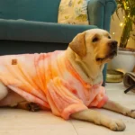 Pawgypets Fur Sweater for Dogs and Cats (Orange) - Image 2