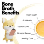 Doggos Instant Carrot and Chicken Bone Broth for Cats and Dogs - Image 4