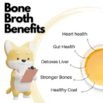 Doggos The Monster Club Bone broth and fresh food for canines - Image 5
