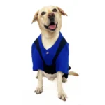 Dogobow Dog Dungaree Dress (Blue/Black) (Get a Bow Free)