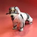 Dogs' Four-Legged Black Raincoat by Barkbutler x Fofos (Button Up Style)