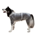 Dogs' Four-Legged Black Raincoat by Barkbutler x Fofos (Button Up Style) - Image 3