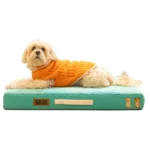 Dogs' Micro Fur Orthopaedic Mattress Bed with Memory Foam Foundation by Petter World(Turquoise)