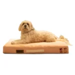Dogs' Micro Fur Orthopaedic Mattress Bed with Memory Foam Foundation by Petter World(Peach Pearl)