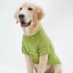Dogs' Pawgypets Festive Shirt (Pista Green)