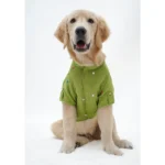 Dogs' Pawgypets Festive Shirt (Pista Green) - Image 3