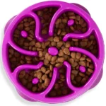 Dogs' Slow Feeder/Outdoor Hound Fun (Purple)