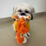 Dogs' Soft Chewers Barkbutler Garry the Giraffe Plush Toy - Image 6