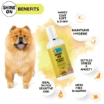 Dogs' Waterless Shampoo with Papa Pawsome Shine On - Image 2