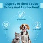 Dogs and cats can use Bark Out Loud Antimicrobial Skin Spray. - Image 5