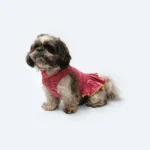 Dogs and cats can wear the Pawgypets Formal Check Ruffle Dress (Pink) - Image 4