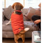 Dogs and cats can wear water-resistant jackets from Petsnugs (Rust)