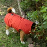 Dogs and cats can wear water-resistant jackets from Petsnugs (Rust) - Image 2