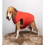 Dogs and cats can wear water-resistant jackets from Petsnugs (Rust) - Image 4