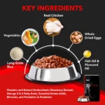 Drools Concentrate  Super Premium Dry Food for Adult Dogs | Formula Free of Corn and Wheat - Image 2