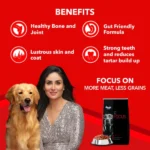 Drools Concentrate  Super Premium Dry Food for Adult Dogs | Formula Free of Corn and Wheat - Image 3